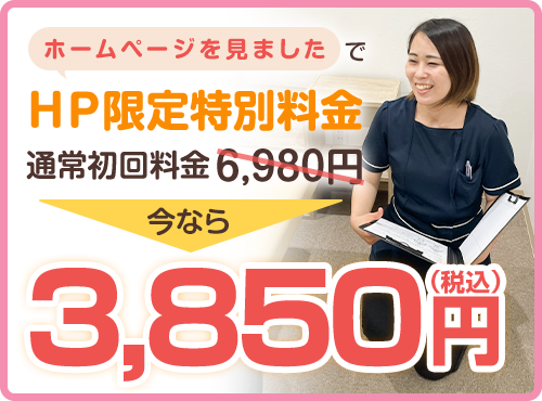 HP限定特別料金:3,850円